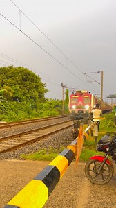 shining Pink Emu Skip Railgate | Indian life lines