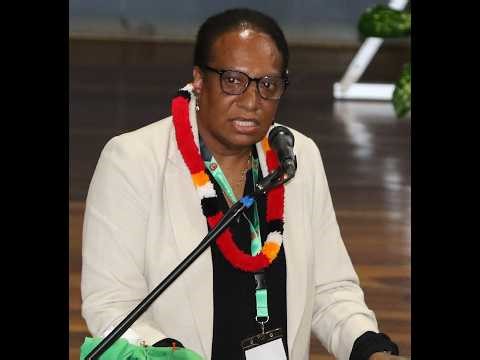 🇵🇬 PNG Business Council President Calls For Execution In Agriculture | AgriConnect Launch In Goroka