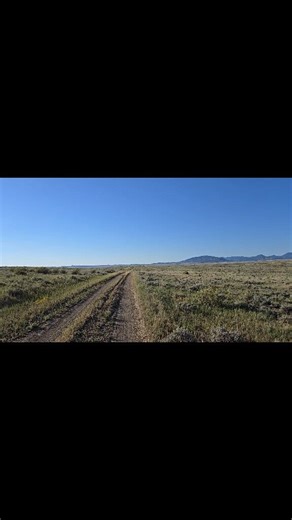 Heard a coyote. | Montana East of the Divide