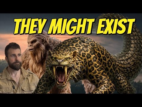 Top 5 Cryptids Most Likely to Exist