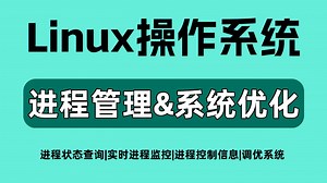 【从零到实战一套搞定】Linux进程管理&系统优化（进程状态查询、实时进程监控、进程控制信息、调优系统）