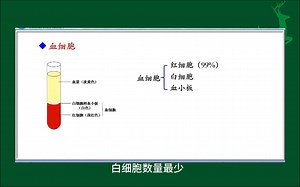 #血液的基本组成#人体生理学#医学科普#每天学习一点点