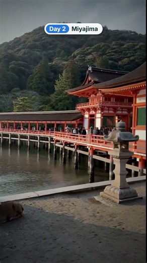Hiroshima in 3 Days: Peace Park, the Floating Torii and Cat Alley ⛩️