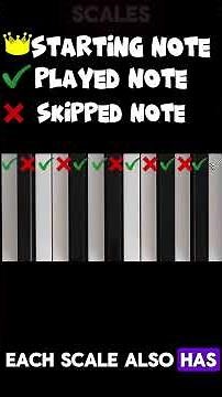 What is a scale? (Explained on the piano)