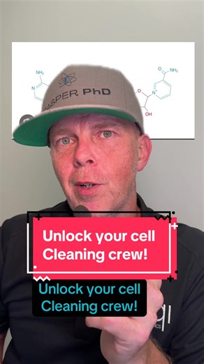 Macrophages need NAD to switch from attack (M1) to healing (M2). Without it they get stuck in pro-inflammatory state #macrophages #NADplus #inflammation #immunepolarization #chronicinflammation