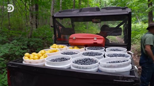 419K views · 4.8K reactions | Mike and Jerry reluctantly team up with Richard to create blueberry lemonade moonshine, kicking off their liquor season. #Moonshiners | Discovery Channel Australia | Facebook