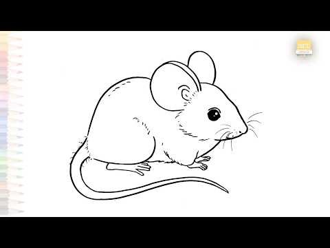 Rat drawings easy #4 | Outline drawing tutorial | How to draw A rat step by step | #artjanag