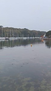 Bonjour ! 🏖 Un petit tour sur la presqu'île de Conleau pour bien lancer la journée | Actu Morbihan