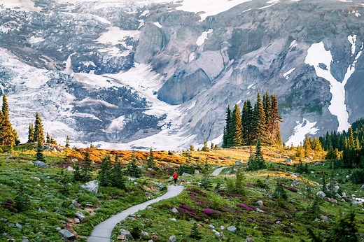Things to Do at Mount Rainier National Park