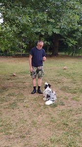 Structured Play Games Backing Up Exercise short 3