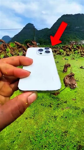 He Risked His iPhone