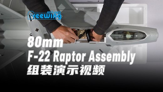 Freewing飞翼F-22 80mm组装演示视频