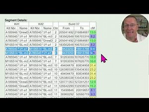 GEDmatch 3D Chromosome Browser for Genetic Genealogy Explained