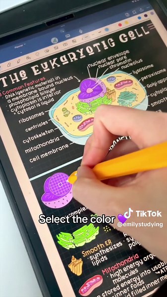 How I easily get colors into my notes!! 🤭 #goodnotestutorial #goodnoteshacks #goodnotes5 #goodnotes #goodnoteshack #goodnotesapp #goodnotestips #goodnotesplanner #goodnotes6