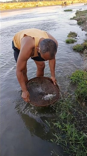 गाँव के मछली पकड़ने वाला जीवन #fish #reels #shortvideo