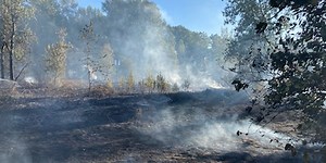 Over 50 firefighters at Hayden Island 2nd alarm wildland fire