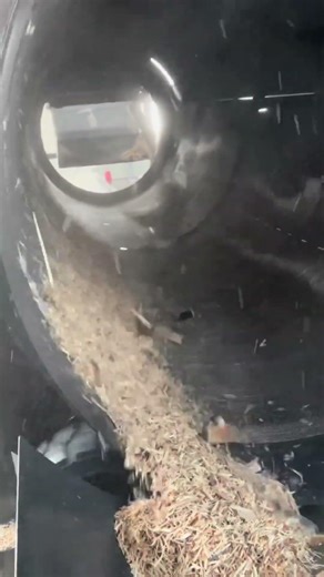 Large closed shaftless trommel screen