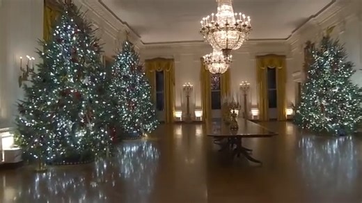 47K views · 3.8K reactions | CHRISTMAS AT THE WHITE HOUSE: White House tours start back up just in time to show off holiday decorations. | News 4 San Antonio | Facebook