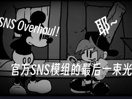 SNS overhaul（粉丝还原）全流程+Smlie