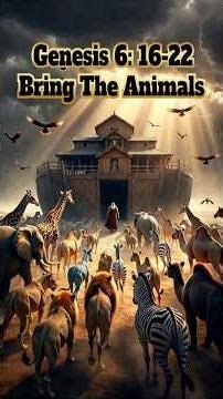 Genesis 6:16-22 Animated – God’s Detailed Ark Instructions: Dimensions, Door & Salvation Promise ✨