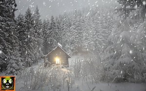 Snow Storm Sounds with Fierce Wind & Blowing Snow | Winter Ambience for Sleeping