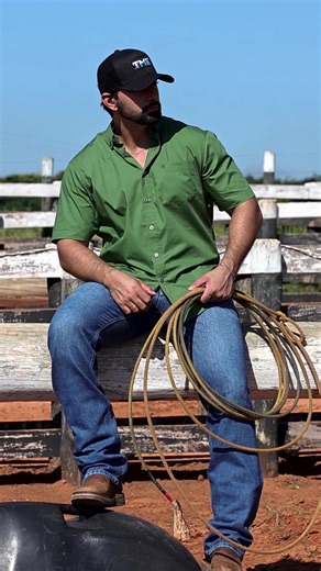 Stunning Tomahawk Collection Showcase