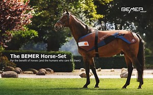 BEMER Horse Set Powerpoint/Movie 5mins