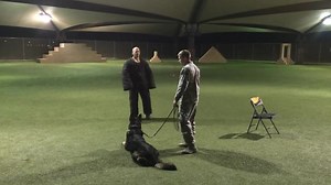 From the Top Cop: Visiting with my first command, the 56 SFS at Luke AFB, Arizona. They team with the 944 SFS (AFRC) to protect a whole bunch of F-16s and our new fleet of F-35s. Check out their first-class K9 training facility!!! | U.S. Air Force Security Forces