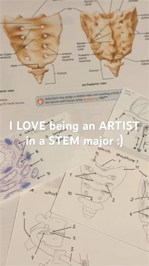 Who else loves drawing assignments?#artist #womeninstem #science #notes #handwriting #aestheticnotes