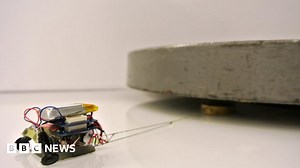 Tiny robots carry up to 2,000 times their own weight