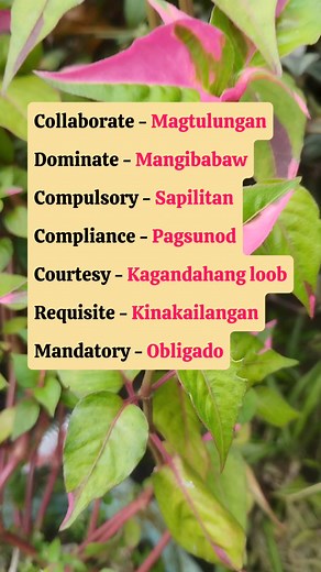 1.5M views · 10K reactions | English to Tagalog Translation Tagalog to English Translation #fypシ゚ #learnenglish #fbreelsvideo #foryoupageシ #trendingpost #vocabularylearning | MMA PAGE | Facebook
