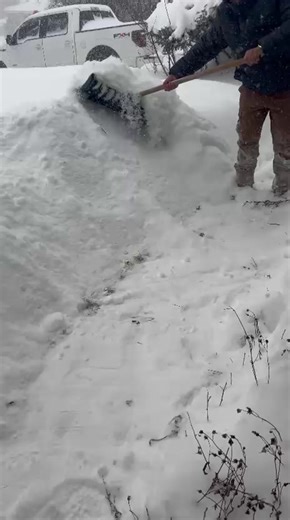 Roberto Clemente (@roberto.clemente6)’s videos with original sound - 5 pack family