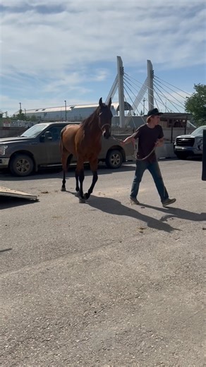 530 reactions · 5 comments | The barns are filling up, and excitement is in the air! We’re thrilled to welcome back Chance Flad, and of course barn boss Wylder, to Stampede Park for the 2025 Rangeland Derby!  #CalgaryStampede #Stampede2025 #ChuckwagonRacing #RelayRacing #StampedeRacing #TheGreatestOutdoorShowOnEarth #PlayAlberta #WPCA #CPCA | Calgary Stampede Chuckwagons & Relay | Facebook