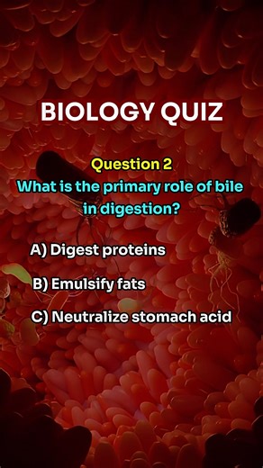 Biology Quiz - Can you get 10/10 for these biology quiz questions? #anatomy #nursingstudent #greysanatomy #anatomyclass #quiz #quiztime #funquizzes #questions #brainteaser #mindbenders #puzzle #testyourbrain #trivia #facts #viral #viralvideos #biology #biologychallenge #nursingstudent #anatomyandphysiology #anatomyquiz #anatomystudy | Brain Challenge