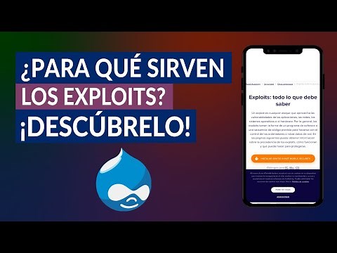 ¿Qué son y Para qué Sirven los Exploits y Cómo Protegerse de sus Ataques?