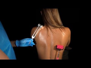 ASMR [Real Person] Back exam, Massage, measuring, Tracing, drawing, No talking Relax for Sleep