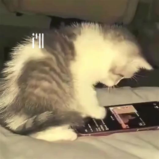 Stalk Your Socials: La Nueva Canción de S0rrow