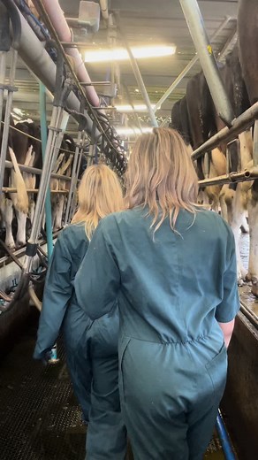 Dairy Farming Adventures with Layla Kelly