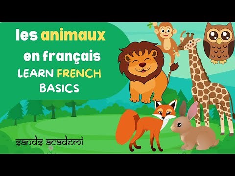 Animals in French - Learn French Basics