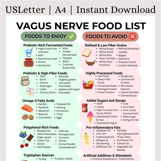 Vagus Nerve Food List | Gut Brain Health Foods | Vagus Nerve Diet | Nervous System Support | Anti-inflammatory Foods | Good Health Foods - Etsy