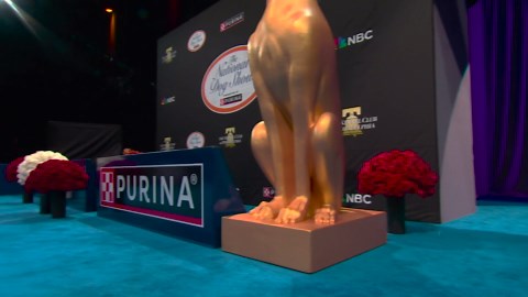 National Dog Show 2025: Best in Show (full)