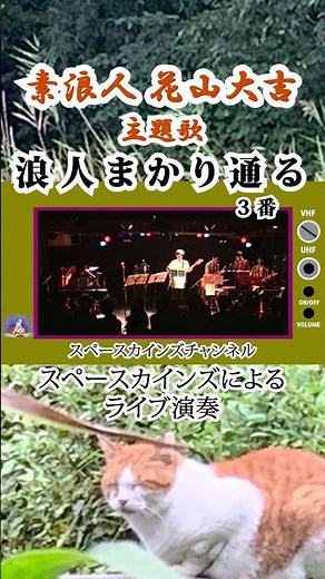 『素浪人 花山大吉』主題歌「浪人まかり通る」ライブ演奏【SKCSNo.246】#スペースカインズ #時代劇 #shorts