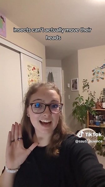 Insect Facts #science #biology #insect #bug #funfacts #animals | insects