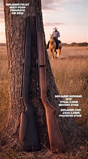 Benjamin 392S & 397P. Benjamin Multi-Pump Pneumatic Air Rifle. Wild west airguns