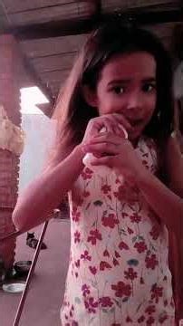 27 de novembro de 2025