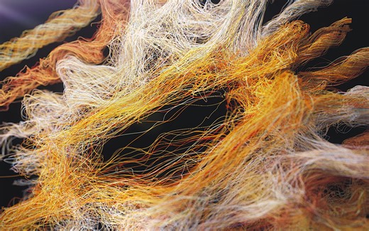 【小丑中文教程】C4D XP粒子4.0全面解密系列从基础到进阶教程（参数篇） X-Particles