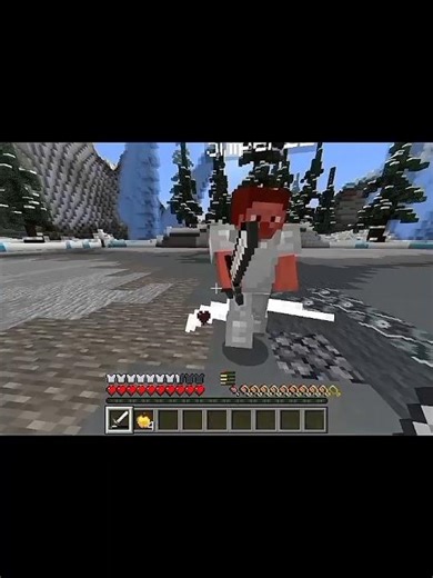 #minecraft 1st day of java combat