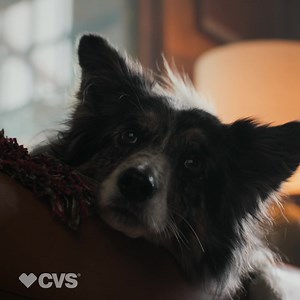 60K views · 831 reactions | Stay ahead and help prevent risks of severe COVID— get your updated COVID-19 vaccine. | CVS Pharmacy | Facebook