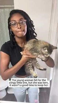 The young lady wasn’t ready for a kitten,but the cat distribution system didn’t think so #kitten