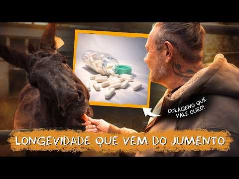 What China does with donkeys will surprise you! 🤯